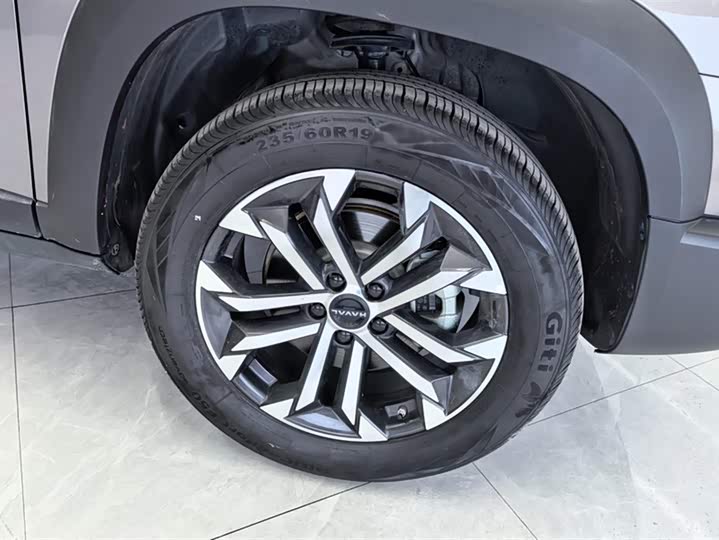 Фото 6 - Haval Dargo