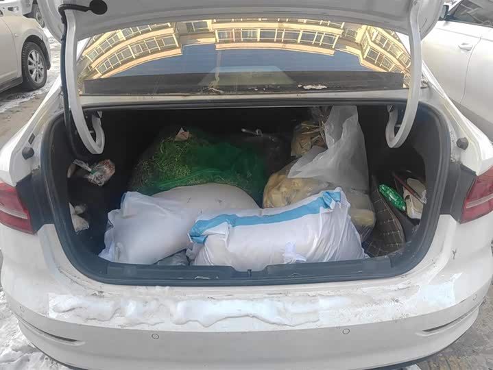 Фото 4 - Volkswagen Lavida