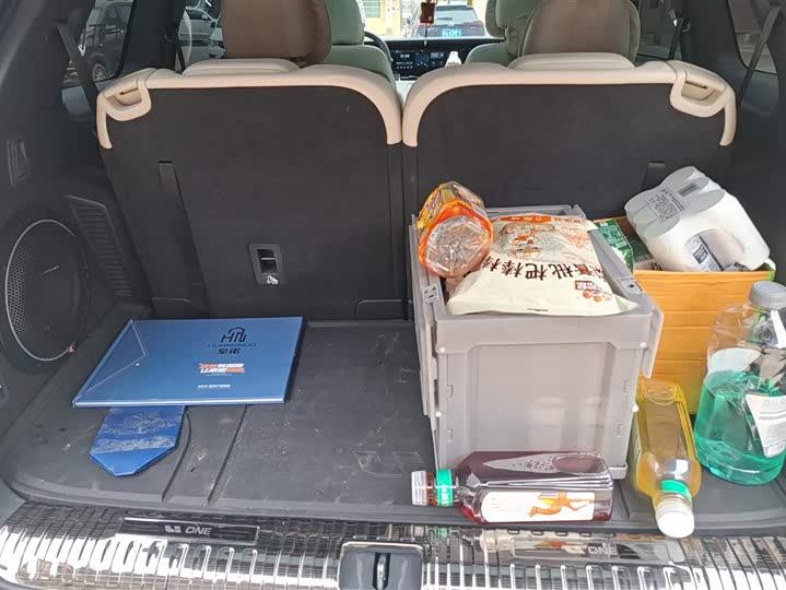 Фото 4 - LiXiang One