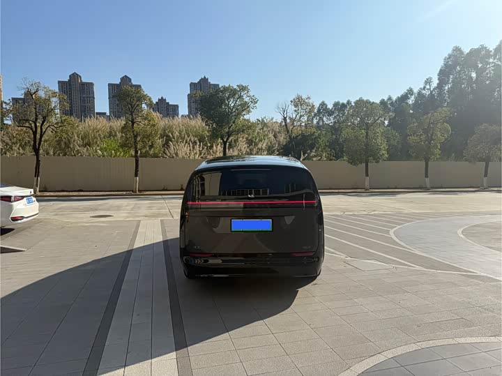 Фото 5 - LiXiang Mega