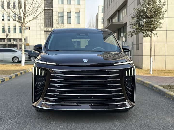 Фото 2 - Dongfeng Forthing Xinghai V9