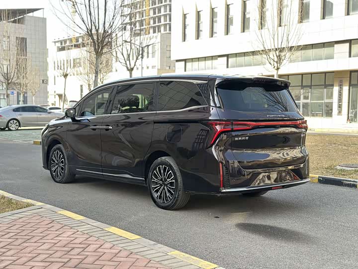 Фото 4 - Dongfeng Forthing Xinghai V9