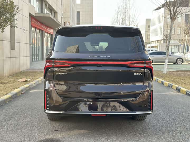 Фото 5 - Dongfeng Forthing Xinghai V9