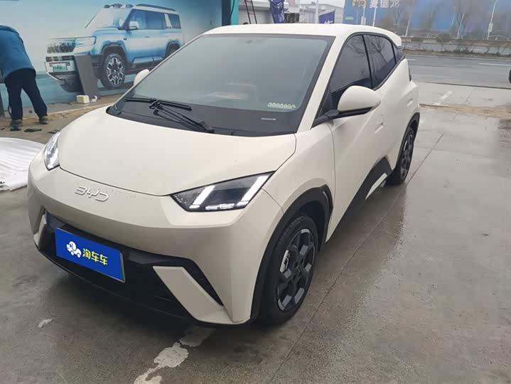 Фото 1 - BYD Seagull