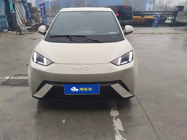 Фото 2 - BYD Seagull