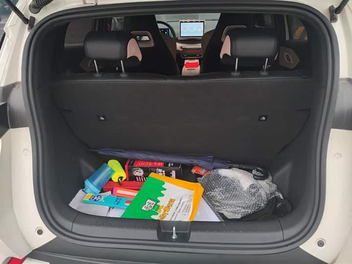 Фото 4 - BYD Seagull