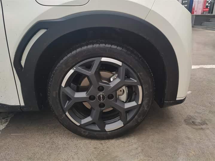 Фото 6 - BYD Seagull