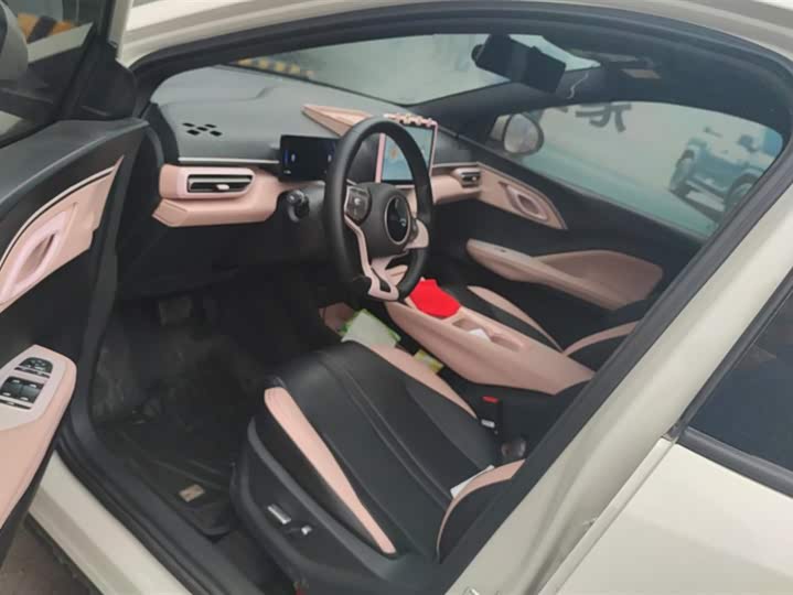 Фото 9 - BYD Seagull