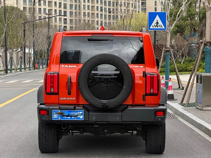 Фото 3 - Tank 300