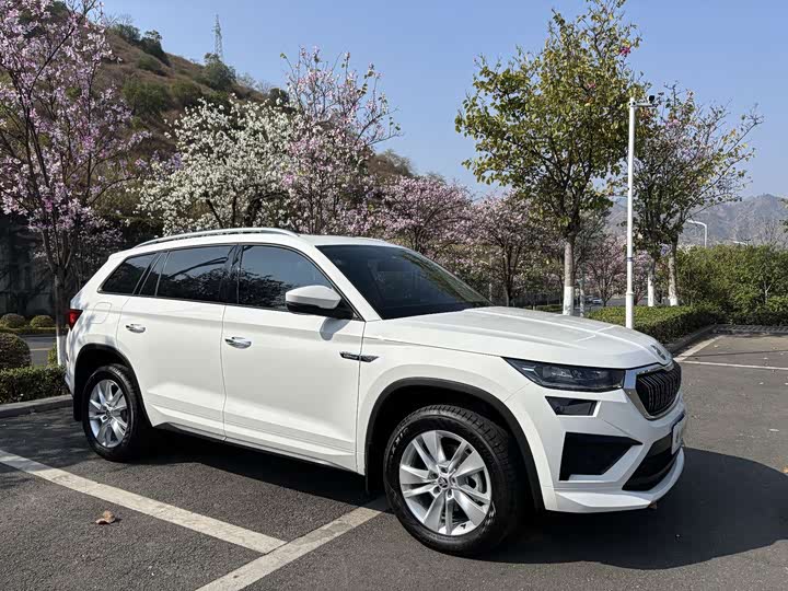 Фото 3 - Skoda Kodiaq