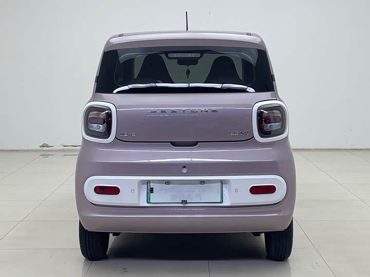 Фото 6 - Bestune Pony