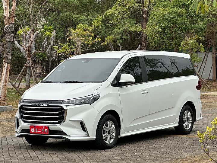 Фото 1 - Maxus G20