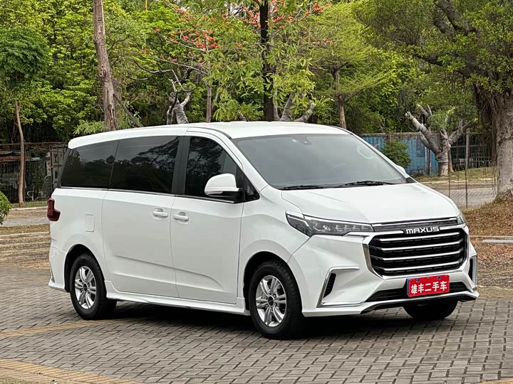 Фото 3 - Maxus G20