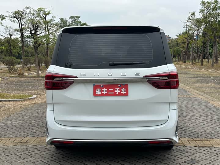 Фото 4 - Maxus G20