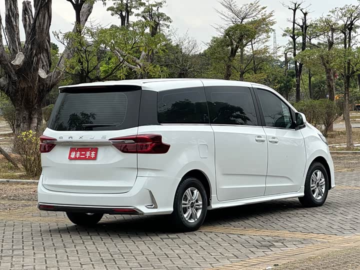 Фото 6 - Maxus G20