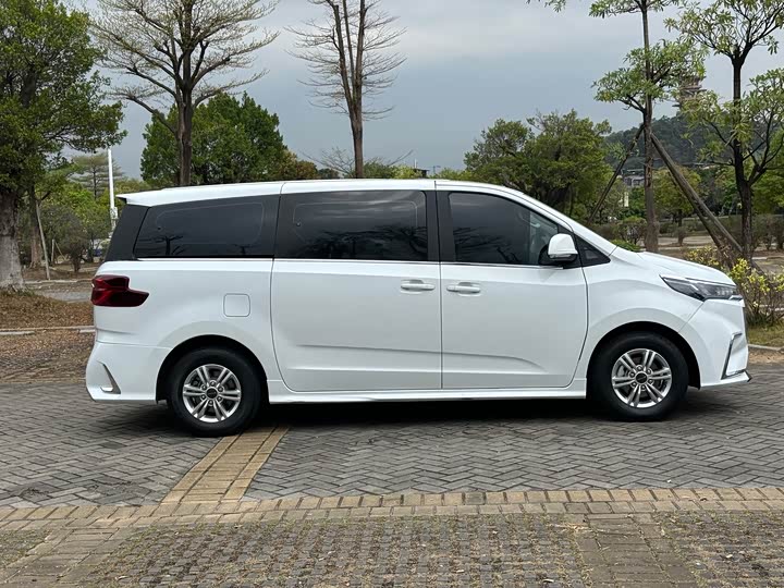 Фото 7 - Maxus G20