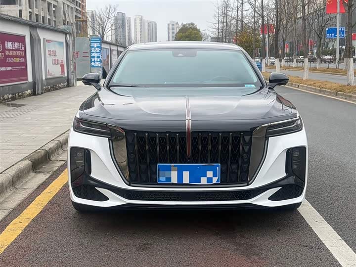 Фото 2 - Hongqi H9