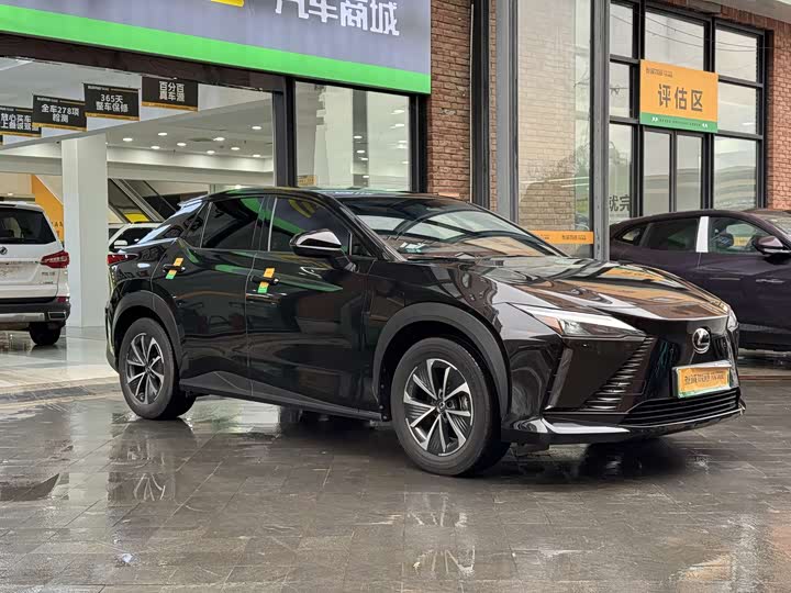 Фото 4 - Lexus RZ