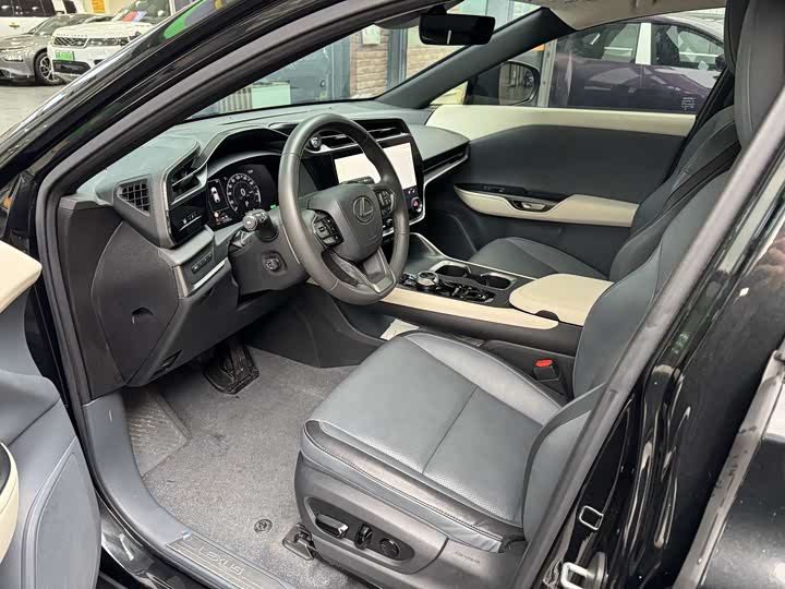 Фото 8 - Lexus RZ