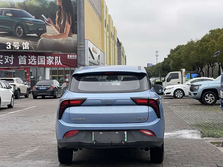 Фото 3 - Hozon V