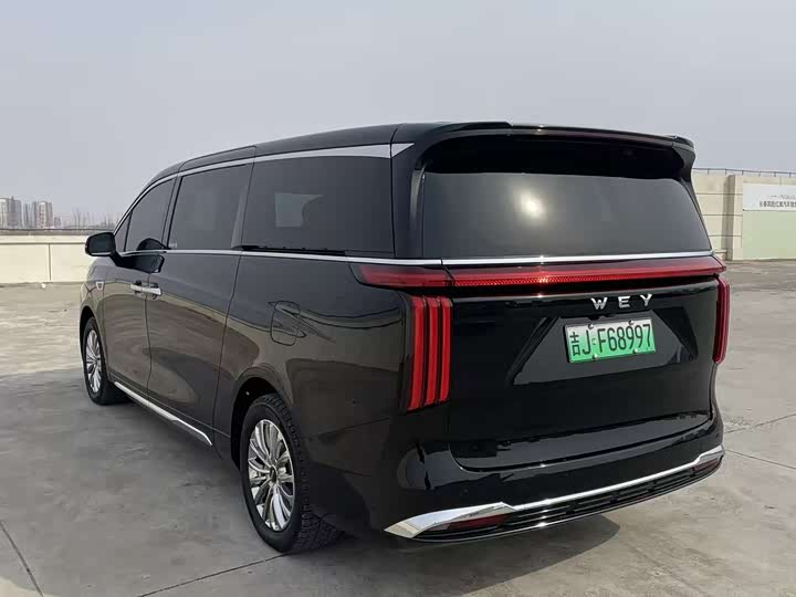 Фото 7 - Wey Gaoshan