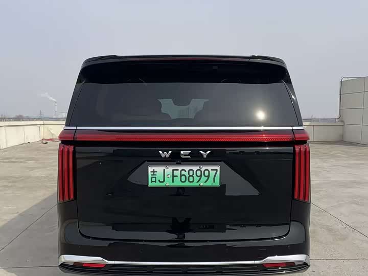 Фото 8 - Wey Gaoshan