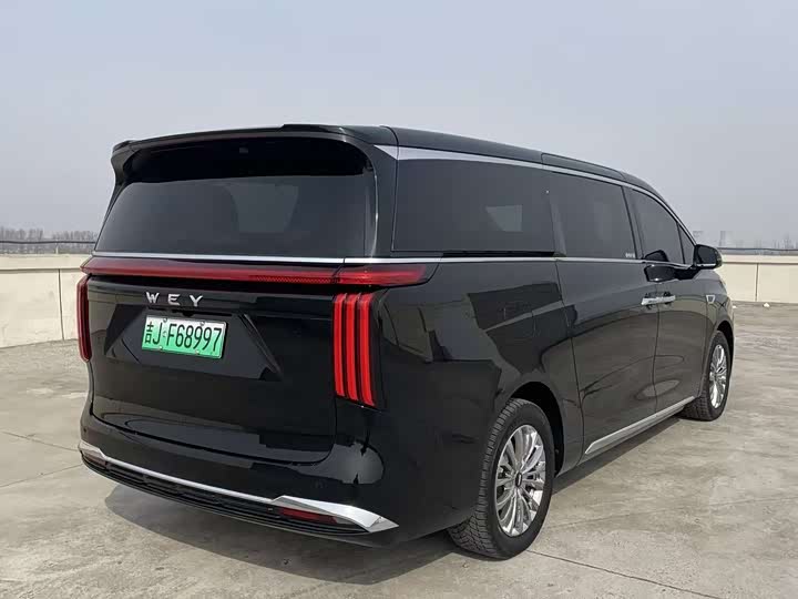 Фото 9 - Wey Gaoshan