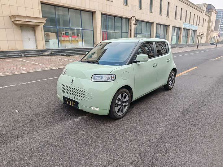 Photo 2 - Ora White Cat