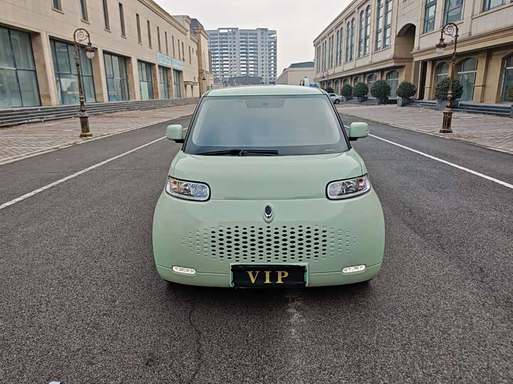 Photo 3 - Ora White Cat