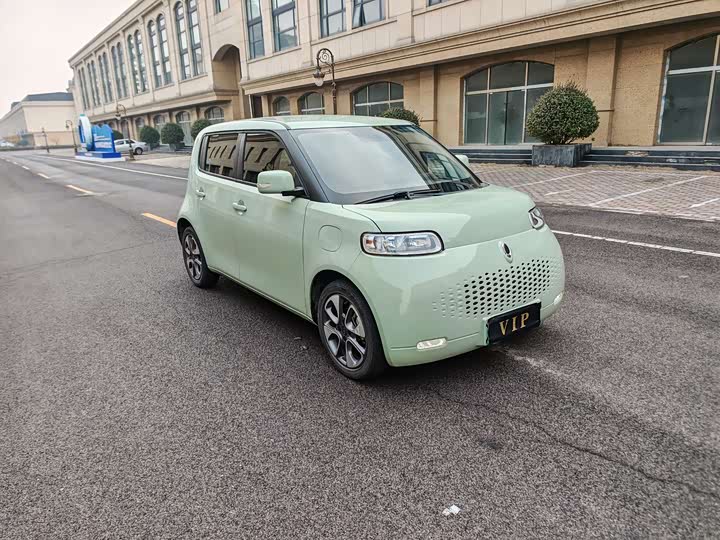 Photo 4 - Ora White Cat