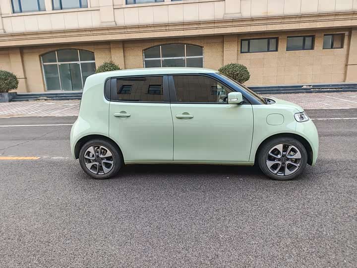 Photo 5 - Ora White Cat