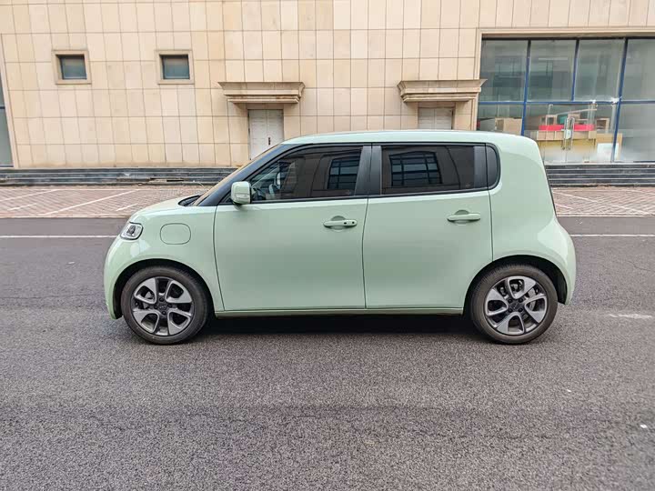 Photo 6 - Ora White Cat