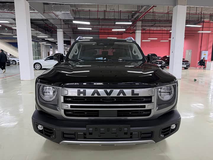 Фото 2 - Haval Dargo
