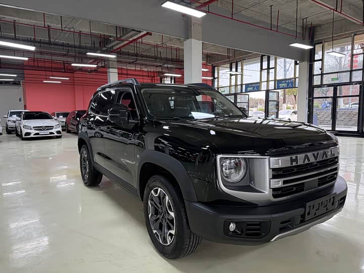Фото 3 - Haval Dargo