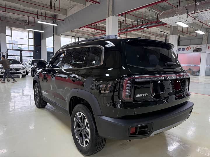 Фото 4 - Haval Dargo