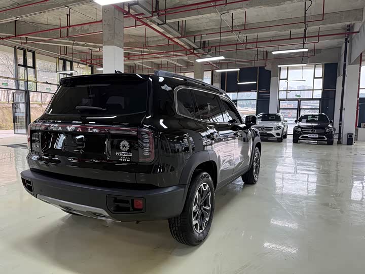 Фото 6 - Haval Dargo