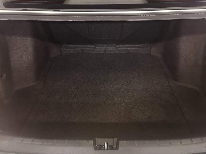 Фото 4 - Honda Envix