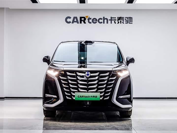 Фото 2 - Denza D9