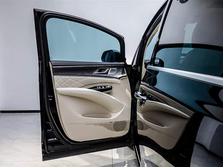 Фото 8 - Denza D9