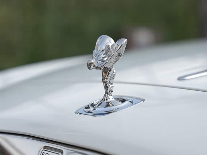 Фото 9 - Rolls-Royce Dawn