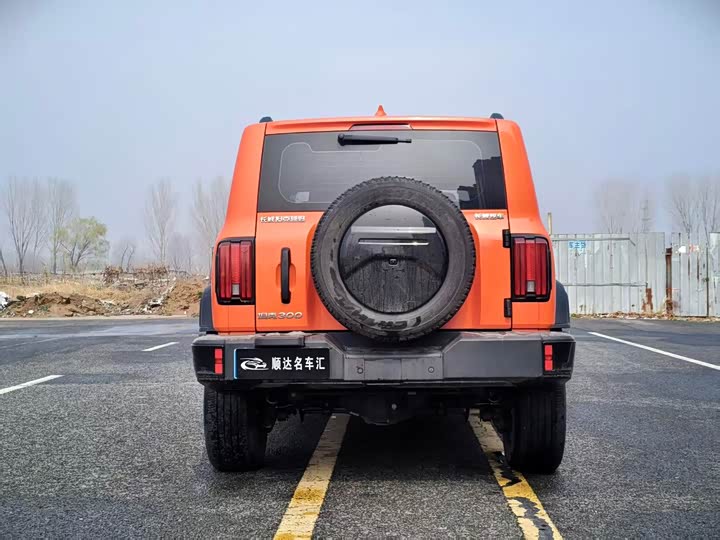 Фото 8 - Tank 300