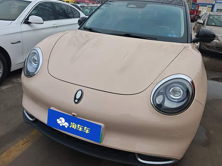 Photo 2 - Ora Good Cat (03)