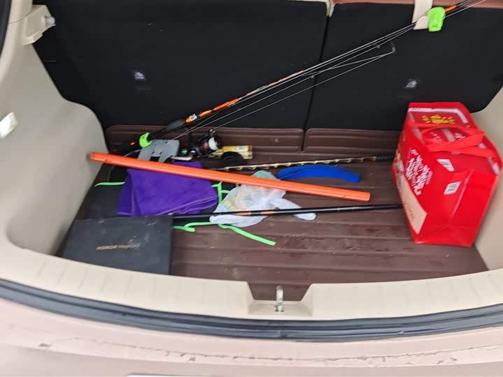 Photo 4 - Ora Good Cat (03)