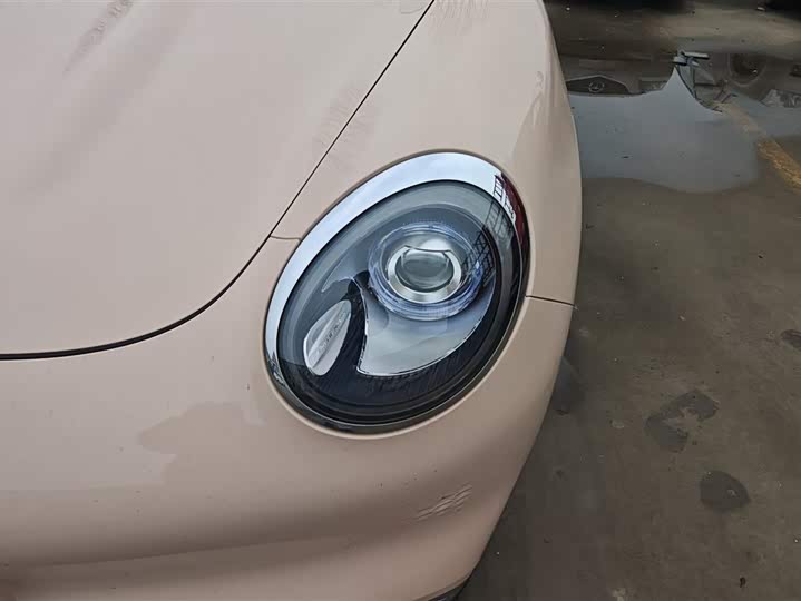 Photo 5 - Ora Good Cat (03)