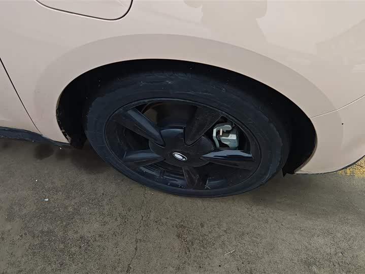 Photo 6 - Ora Good Cat (03)