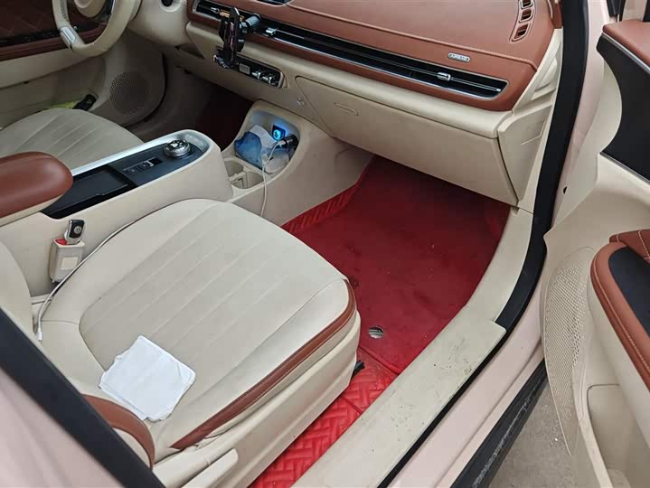 Photo 8 - Ora Good Cat (03)