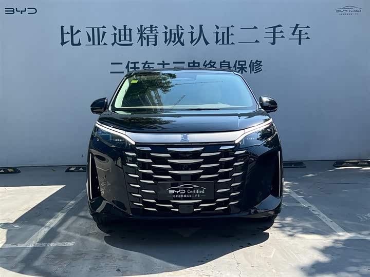 Фото 2 - BYD Xia