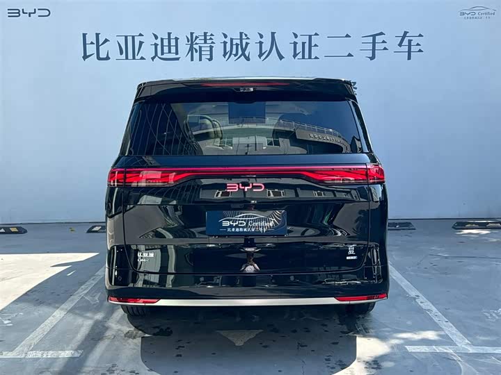 Фото 4 - BYD Xia