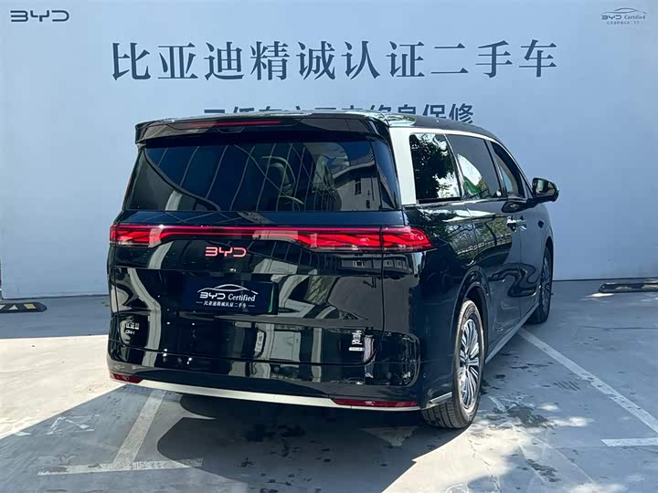 Фото 5 - BYD Xia