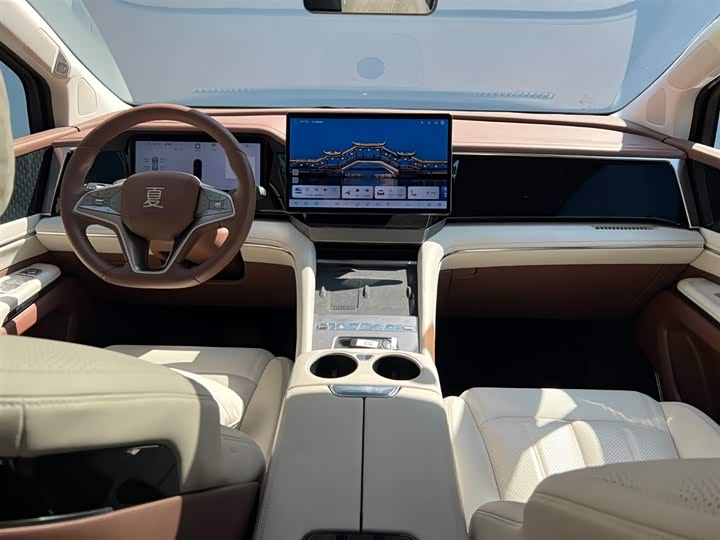 Фото 6 - BYD Xia